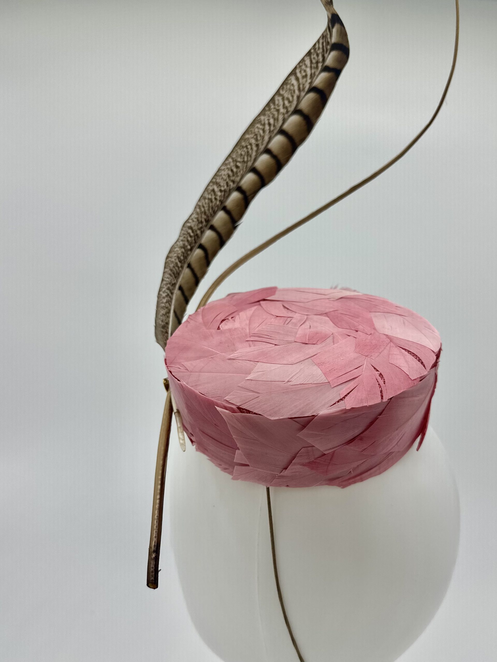 Trans seasonal pink feathered pillbox with pheasant feather and matching quill by Sydney milliner Abigail Fergusson Millinery Australia available at the Milliner's Closet Boutique hat shop on Sydney's Northern Beaches