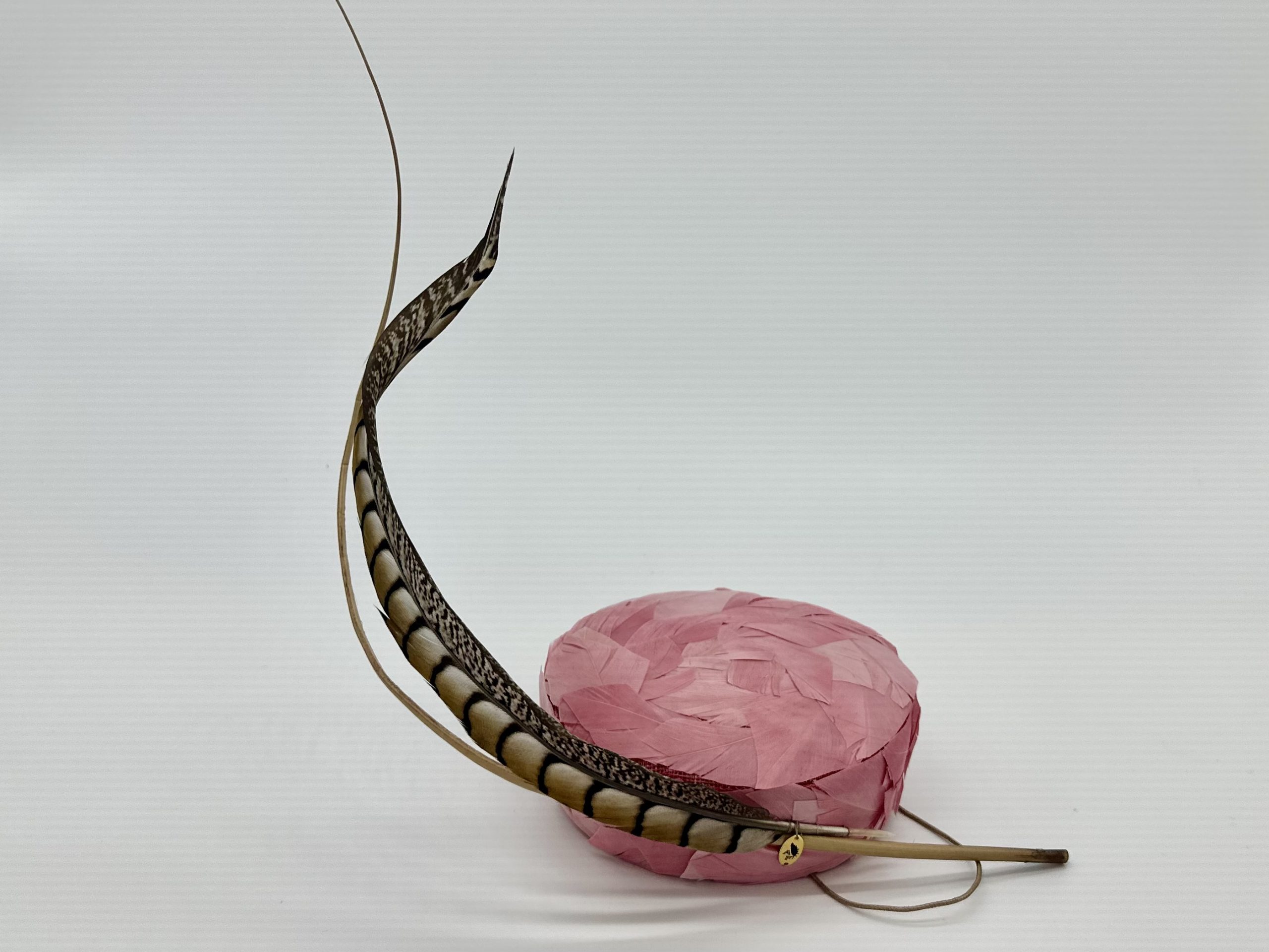 Trans seasonal pink feathered pillbox with pheasant feather and matching quill by Sydney milliner Abigail Fergusson Millinery Australia available at the Milliner's Closet Boutique hat shop on Sydney's Northern Beaches