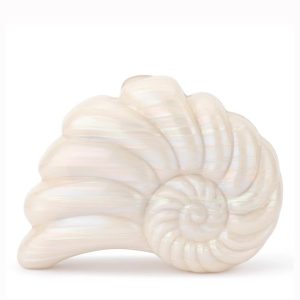 Olga Berg Ava Shell Clutch available at The Milliner's Closet Fashion Boutique in Balgowlah on Sydney's Northern Beaches.